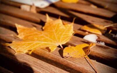 PGP Announcements 2021