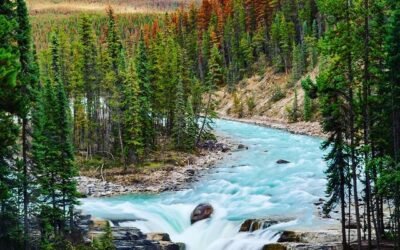 Express Entry: 462 invited in new PNP draw, CRS drops