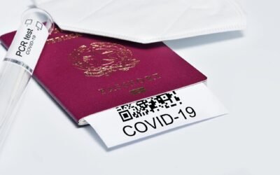 How to Avoid Scams in Canadian Immigration Services: Red Flags and Expert Selection Guide