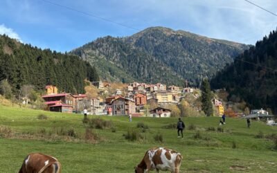 Comprehensive Guide to Provincial Nominee Programs: Choosing the Best PNP Pathway for Your Canadian Immigration Goals