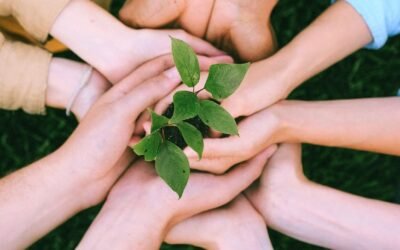 Understanding Canada Immigration Requirements: A Comprehensive Guide