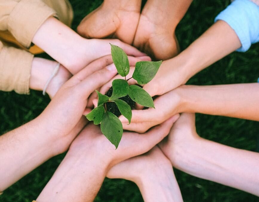 Understanding Canada Immigration Requirements: A Comprehensive Guide