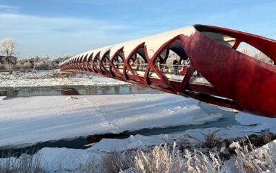 Canada Celebrates Migrants Vital Role on International Migrants Day