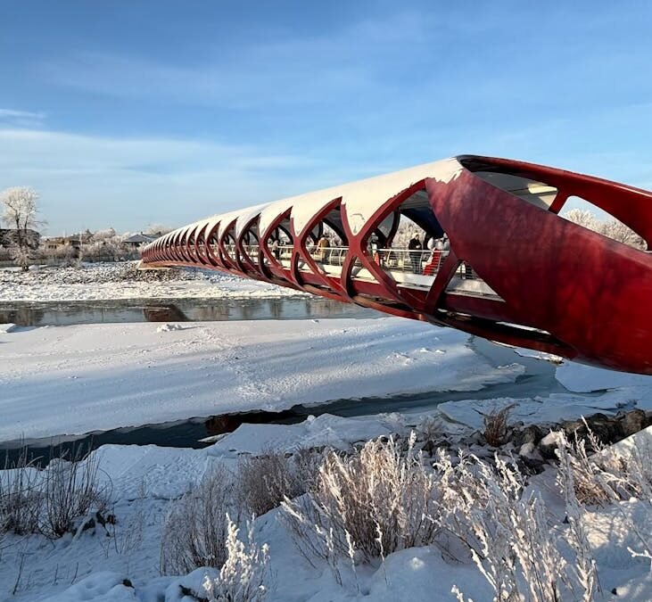Canada Celebrates Migrants Vital Role on International Migrants Day