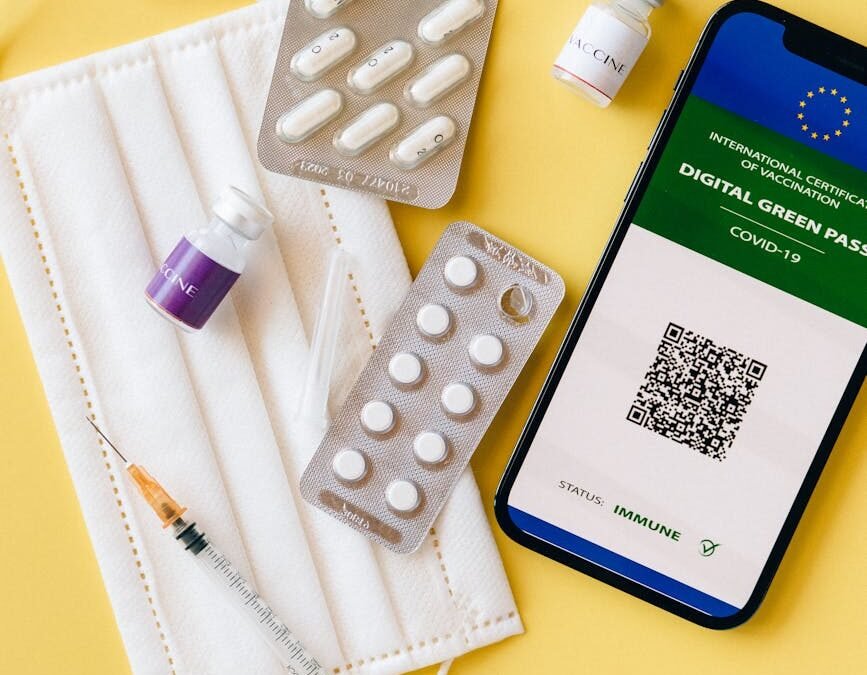 Protected Person Status and Access to Healthcare in Canada