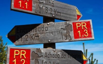 Success Stories of Spousal PR Canada Applicants