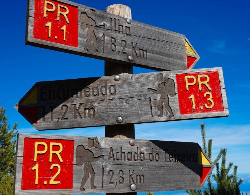 Success Stories of Spousal PR Canada Applicants