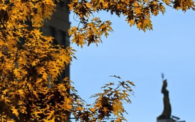 New Brunswick Pauses Immigration Applications for Accommodation Sector