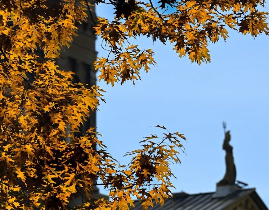 Golden autumn leaves frame a historic building, symbolizing New Brunswick's welcoming immigration environment.