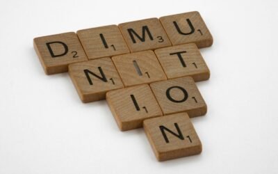 New Brunswick Express Entry Issues Invitations to Skilled Workers