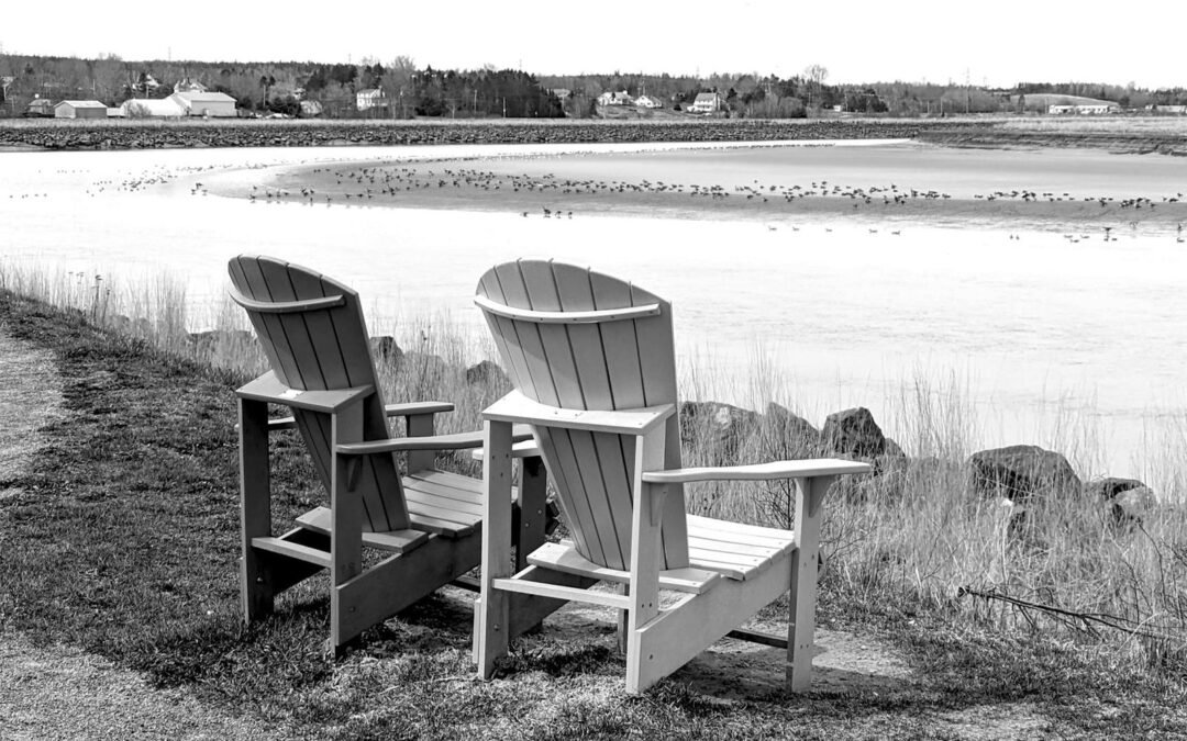 Nova Scotia Expands Express Entry Stream to Attract Skilled Workers