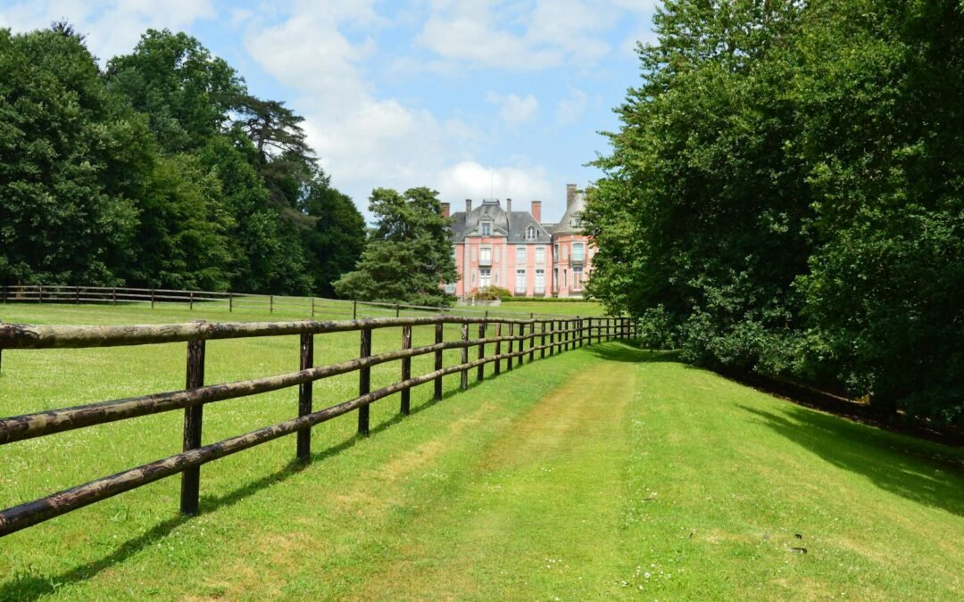 Scenic view of Surrey countryside, ideal for immersive French language courses.