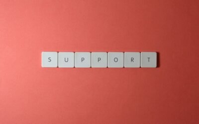 Comprehensive Support Services Available for Protected Persons in Canada