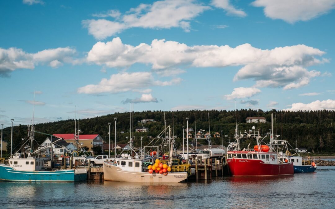 Fishing boats docked in a scenic harbor, reflecting Atlantic Canada's maritime economy and immigration.