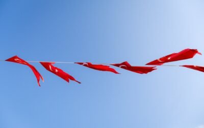 Red Flags When Hiring an Immigration Consultant: Key Tips for Making the Right Choice