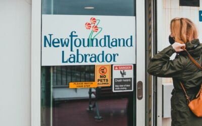 Newfoundland and Labrador issues 131 invitations in October 9 NLPNP and AIP draw